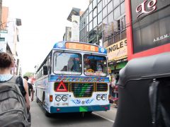 NIK 7491