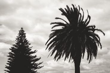 Neuseeland Teil5 19 1808