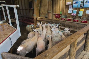 Neuseeland Teil5 58 2172