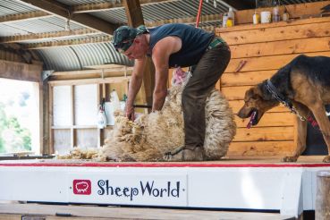 Neuseeland Teil5 59 2185