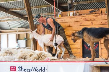 Neuseeland Teil5 60 2188