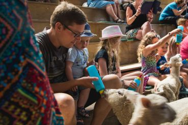 Neuseeland Teil5 61 2193