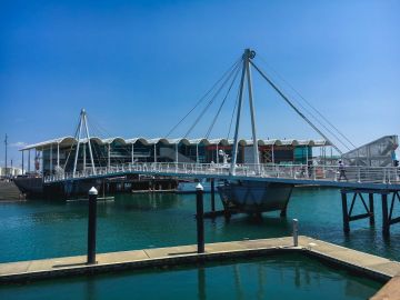 Neuseeland Teil5 65 3513