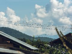 Thailand Teil1 13