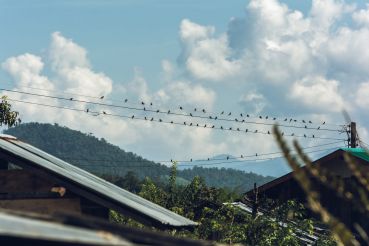 Thailand Teil1 13
