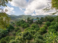 Thailand Teil1 21