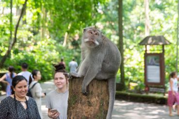 Bali Teil1 40 2276