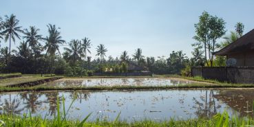 Bali Teil1 54 2304 Bali Teil1 54 2304