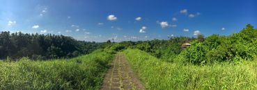 Bali Teil1 59 3703 Bali Teil1 59 3703