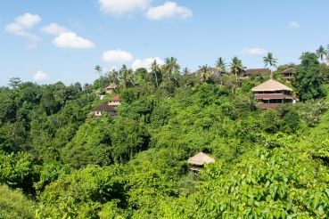 Bali Teil1 60 2322 Bali Teil1 60 2322