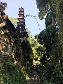 Bali Teil1 64 3711 Bali Teil1 64 3711