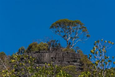 Langkawi 53 2963