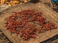 Myanmareinsatz 2018 11 Jonathan Kopka  8582