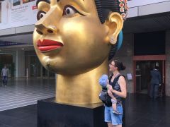 IMG 2428