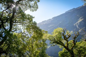 Milford Sound 18