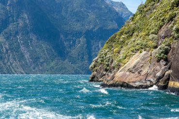 Milford Sound 29