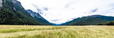 Milford Sound 3