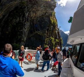 Milford Sound 31