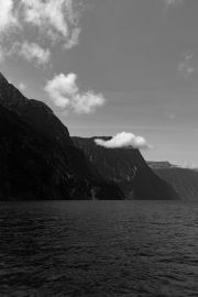 Milford Sound 39
