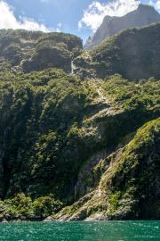 Milford Sound 41