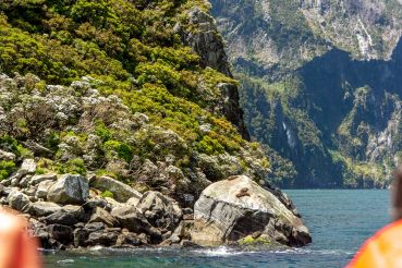 Milford Sound 42