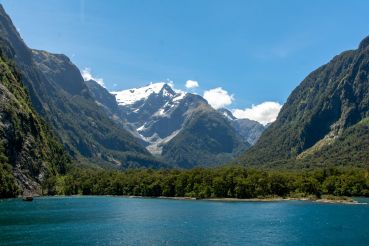 Milford Sound 60