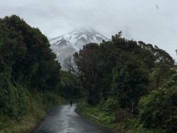 Neuseeland Teil4 33