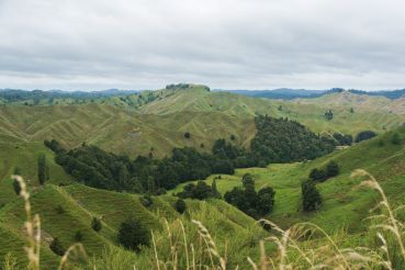 Neuseeland Teil4 39
